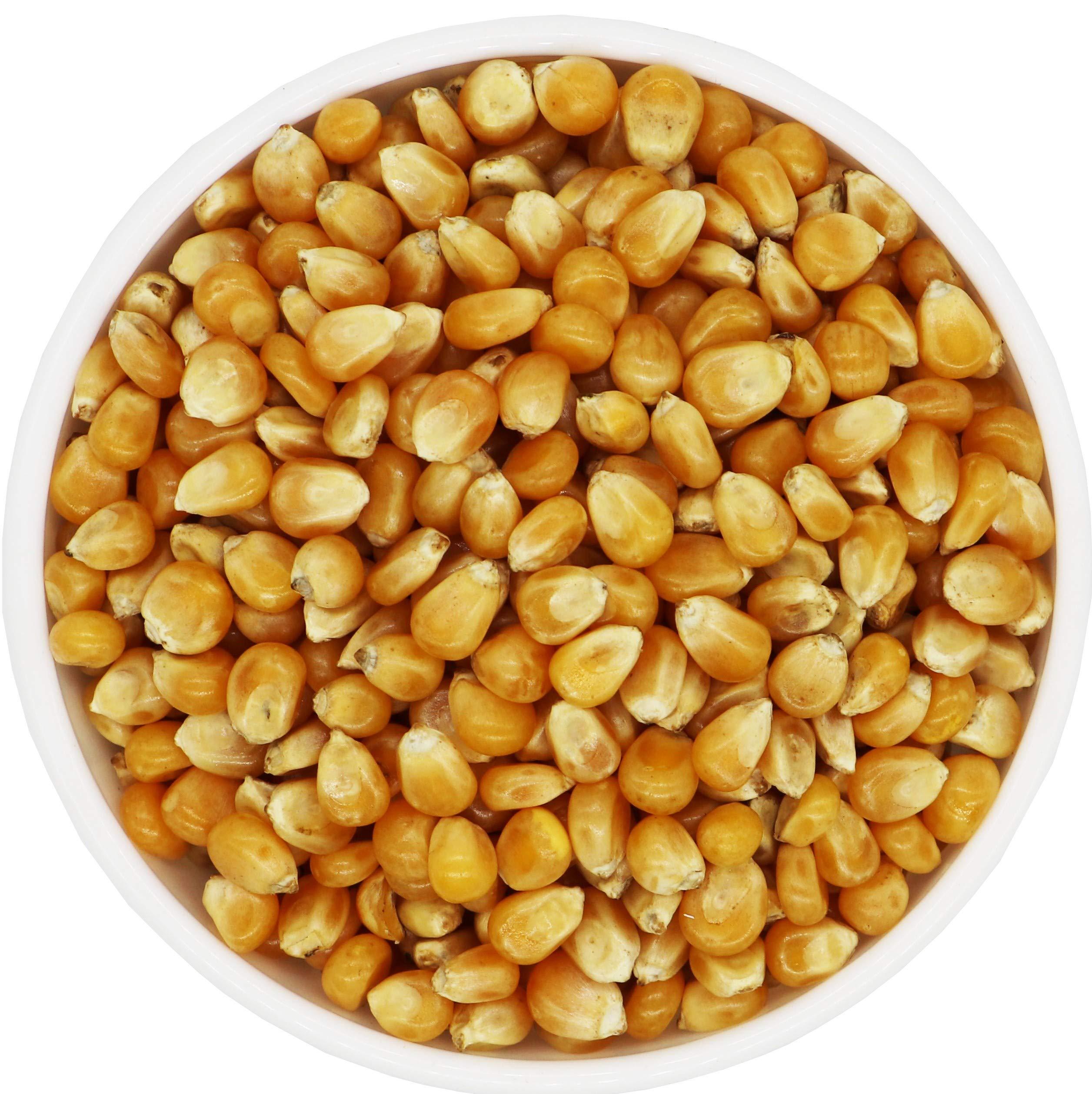 Popcorn Fusion Popcorn Fusion Corn Kernels for Popcorn with Nutty Double Chocolate Caramel Popcorn-Combo Pack (160g+700g)- 860g