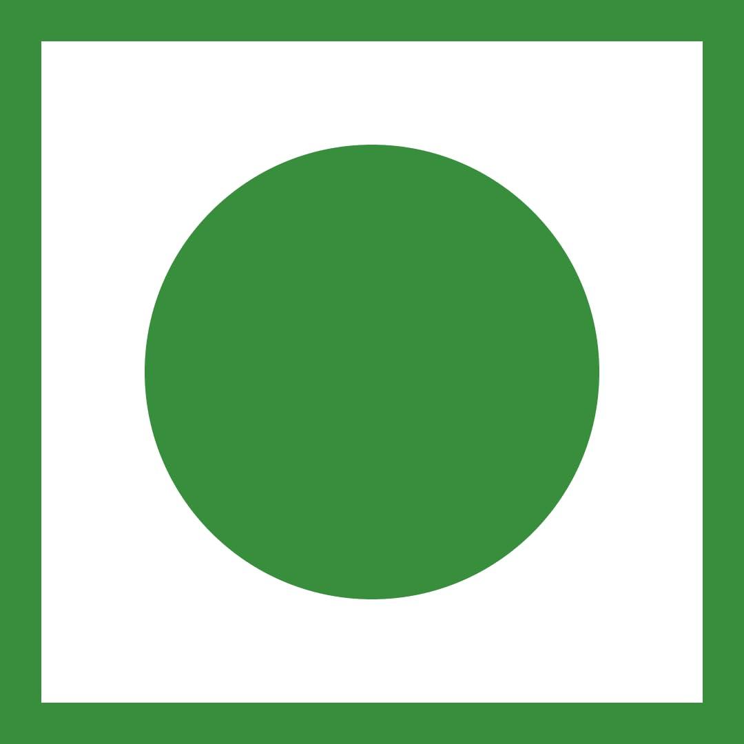 Generic Coorg Special 100% Organically Grown Fennel seeds/Whole Saunf/Variyali- Homestead Produce (100 gms)