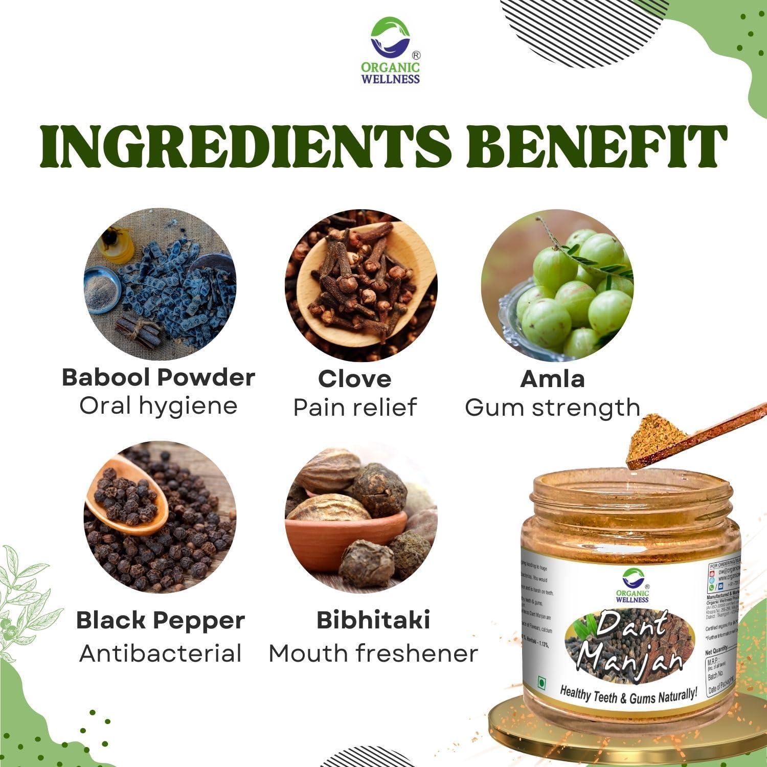 Organic Wellness ORGANIC WELLNESS Dant Manjan Tooth Powder 50 Gram Bottle II Bad Breath II Teeth Whitening (Pack of 2)