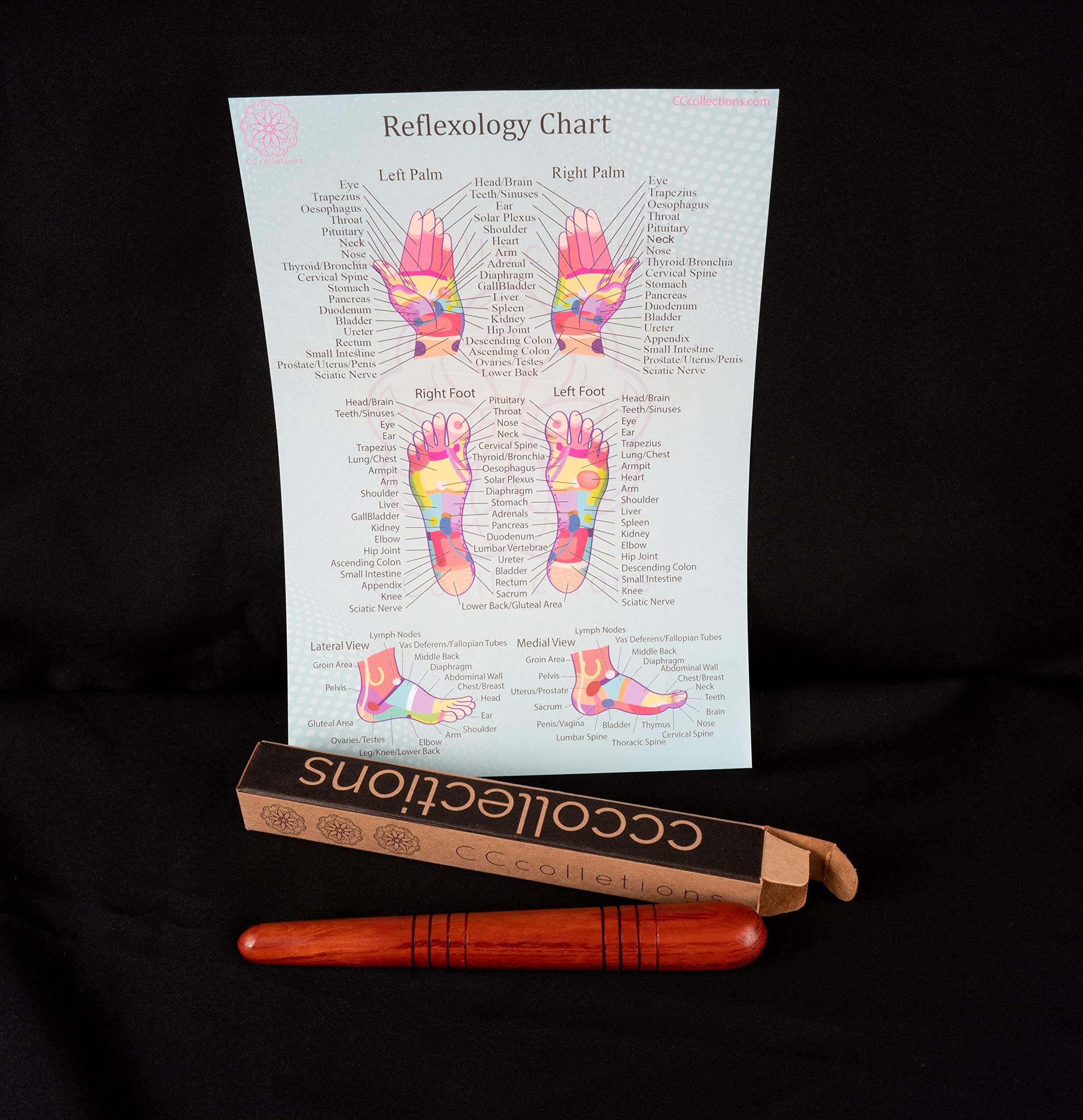 CCcollections CCcollections Massage Toolsets With Chart For Professionals Foot Hand Massage Wooden Stick Reflexology (English, Single Stick + Chart)