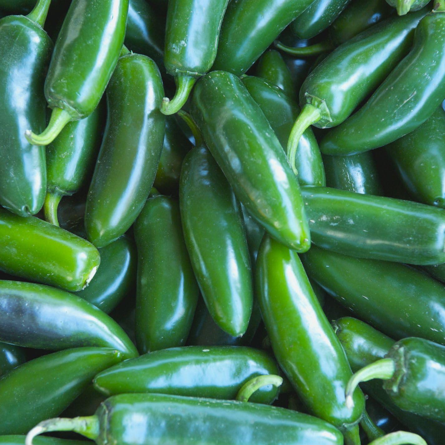 Generic Kanthari Chilli (Bird Eye Chilli, Kanthari Mulaku) Green, Red Pack of 80 Seeds