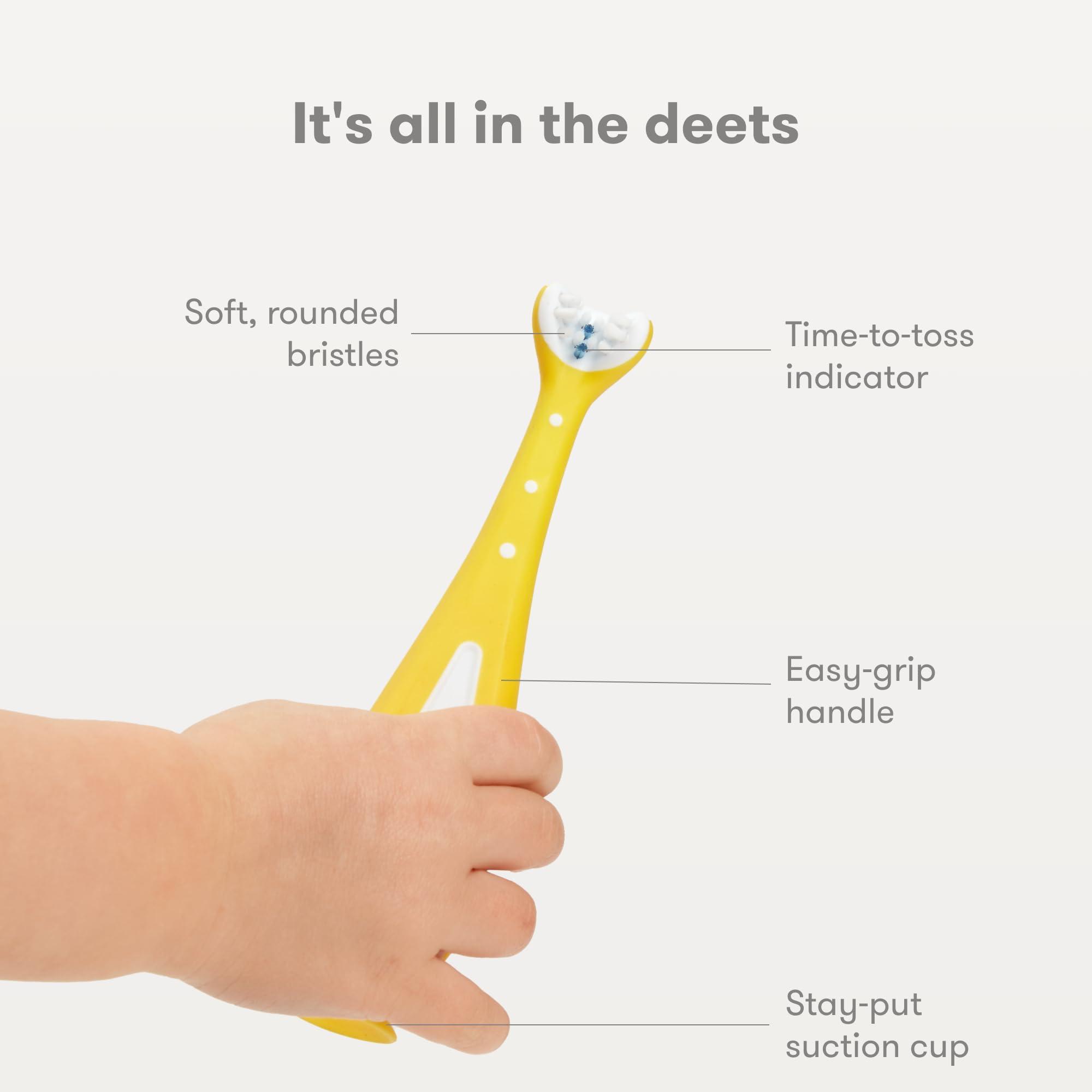 Botanical Sage Botanical Sage- Healthy Menopause Tea 40 Pyramid Teabags | 40 Days Pack | With Goodness of Sage, Raspberry, Red Clover, Shatavari etc | Helps with hot flushes & Mood swings | Selected