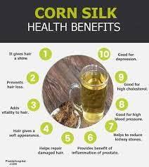 SS520 SS520 Corn Silk | Corn Hair |100G.| Maize Hair | Makai Hair Tea | Bhutte Ke Bal | Corn Hair Tea for for Kidney Stones Liver Cleansing Supports Urinary Tract Health Detoxification For Weight