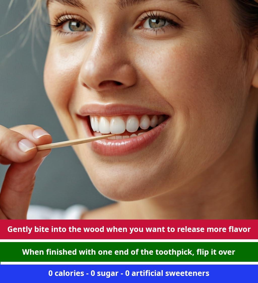 Flavor Forest Mint Toothpicks 100ct