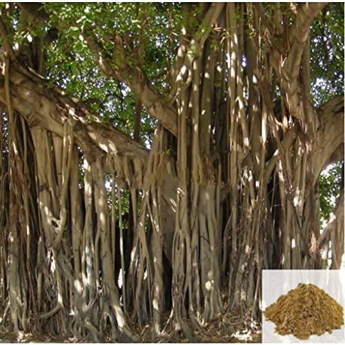 green gardern Green gardern Banyan Tree Bark| Ficus benghalensis | Aalam Pattai Powder 500g
