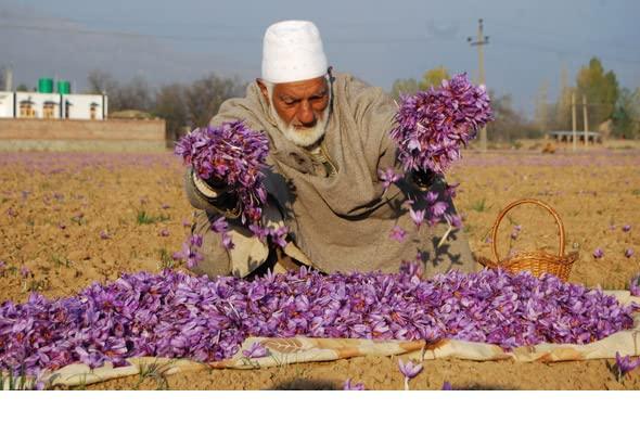 Noor Brand Saffron Noor Brand Saffron (5 Gm Pack)