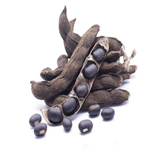 Hardia Hardia kaunch beej Mucuna Pruriens Black Kaunch Seeds (200 Grams)