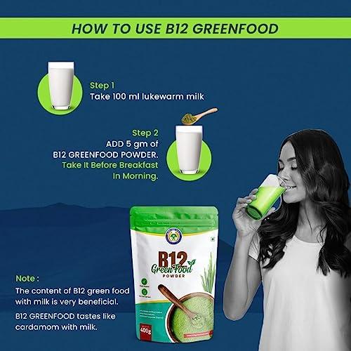 Vichip B12 Green Food Powder 100 gms | 100% Natural Plant Based Vitamin B12 Supplement for Men & Women | No Preservatives