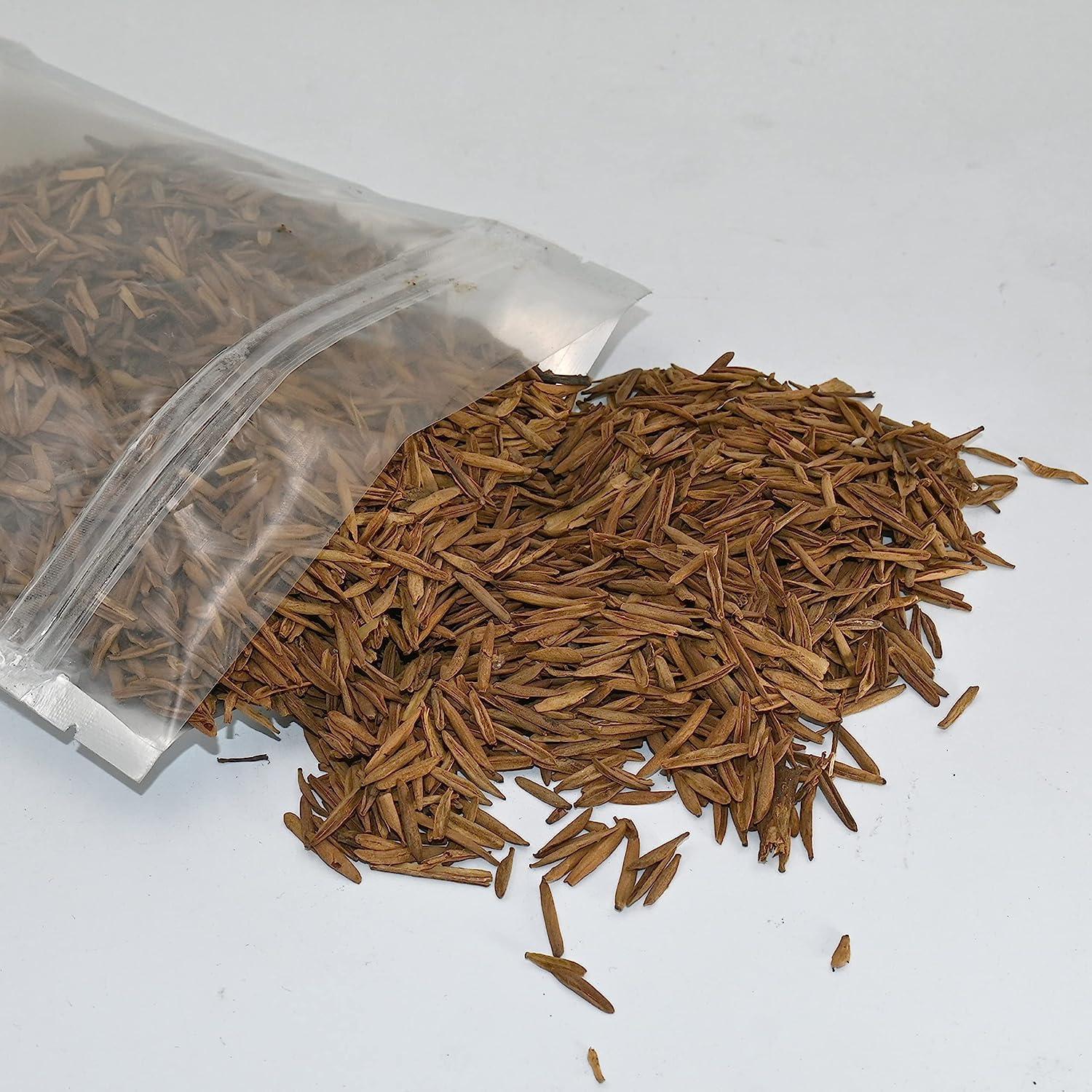 THH THH Kadwa Indrajau (200g) - Indra jau | Natural Indrajav - Holarrhena Pubescens