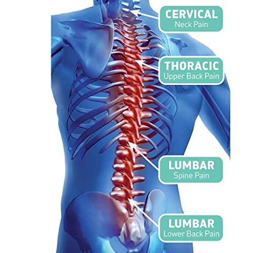 Octopus prime Octopus primeLower Back, Spine, Neck, Pain Relief Posture Support Belt(BioFeedback Back Support Belt