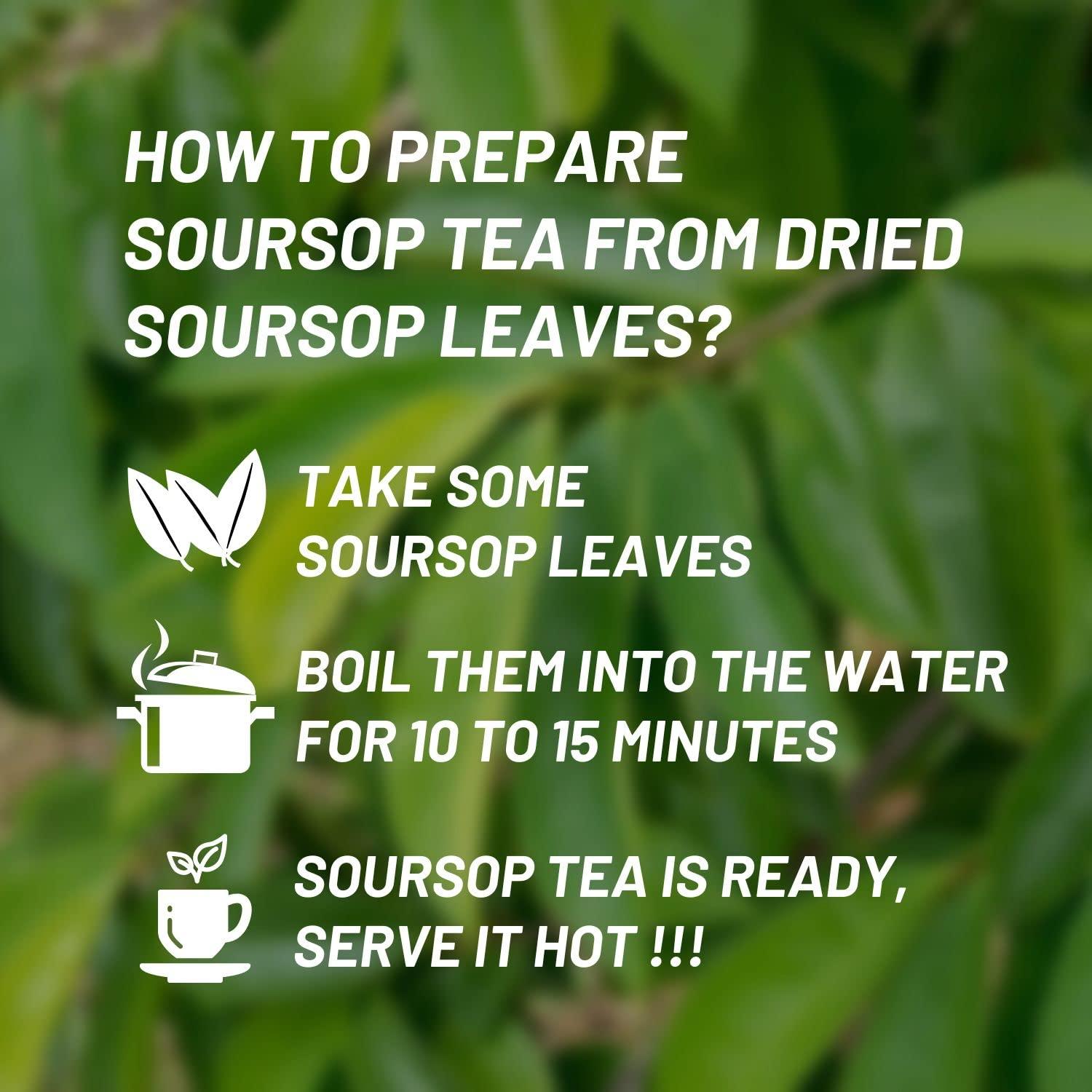 abamec Soursop Leaves, Graviola Soursop Dried Natural Leaves, 100% Natural and Handpicked Freshly Dried Soursop (Guanabana) Leaves (300 Leaves)