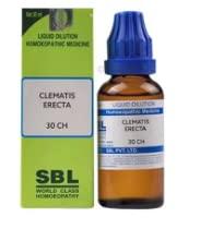JH MONO SBL Clematis Erecta Dilution 30 CH (30ml)- Pack of 2