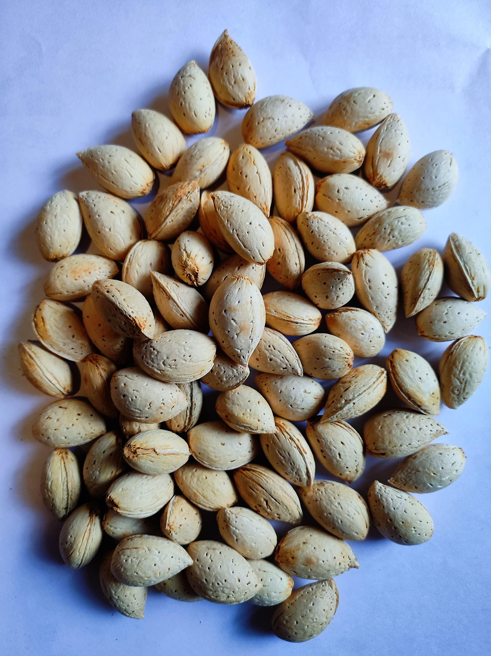 Snow Hills Kashmir Kashmiri kagzi badam in Shell (Mamra Badam) (4kg)