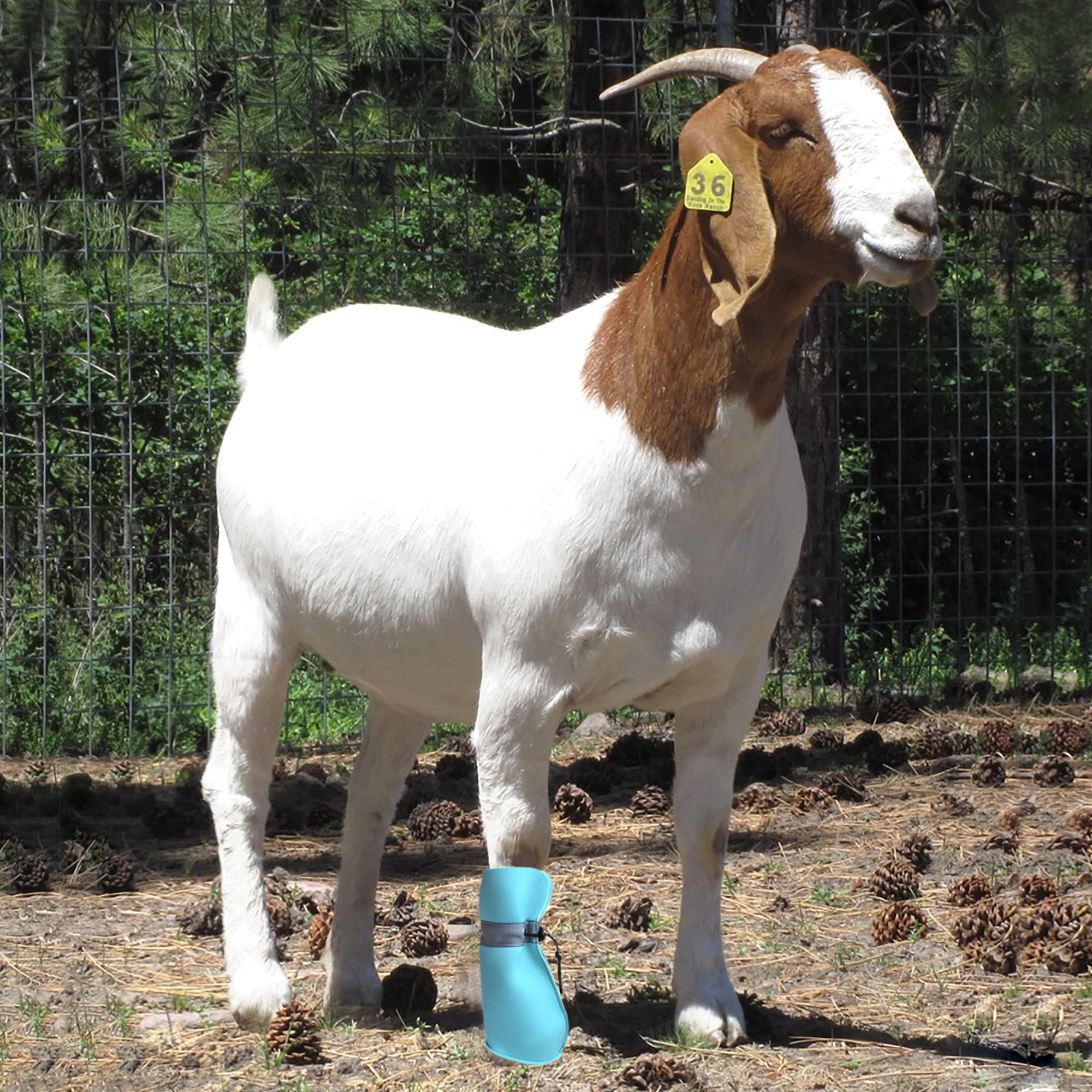 pranovo pranovo Goat Boot Protective Shoes for Sheep Goat Hoof Footsore Foot Rot