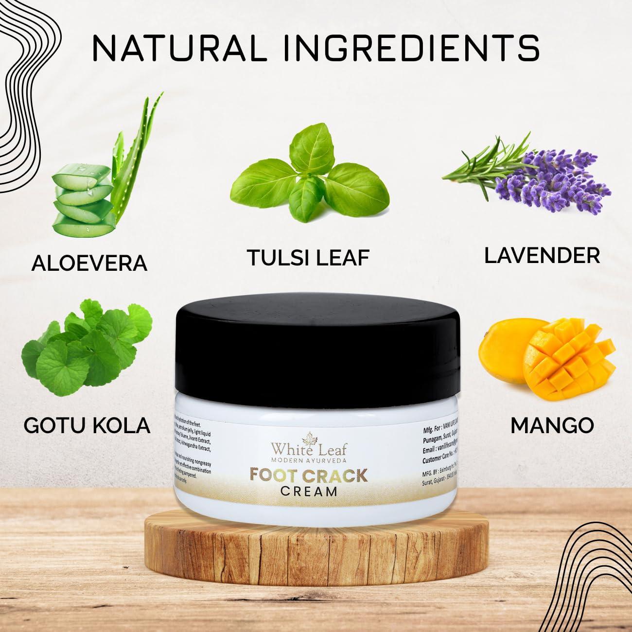 White Leaf White Leaf Foot Cream for Cracked Heels & Dry Feet, Foot Care Cream With Organic & Olive Oil, Moisturizing Healthy Feet for Men & Women - 50 gm