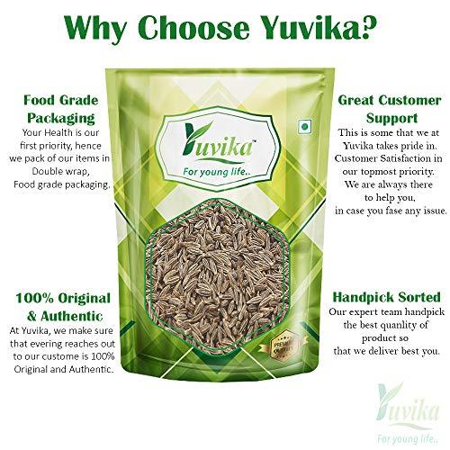 Yuvika YUVIKA Jeera Safed - Cuminum Cyminum - White Cumin Seeds (900 Grams)