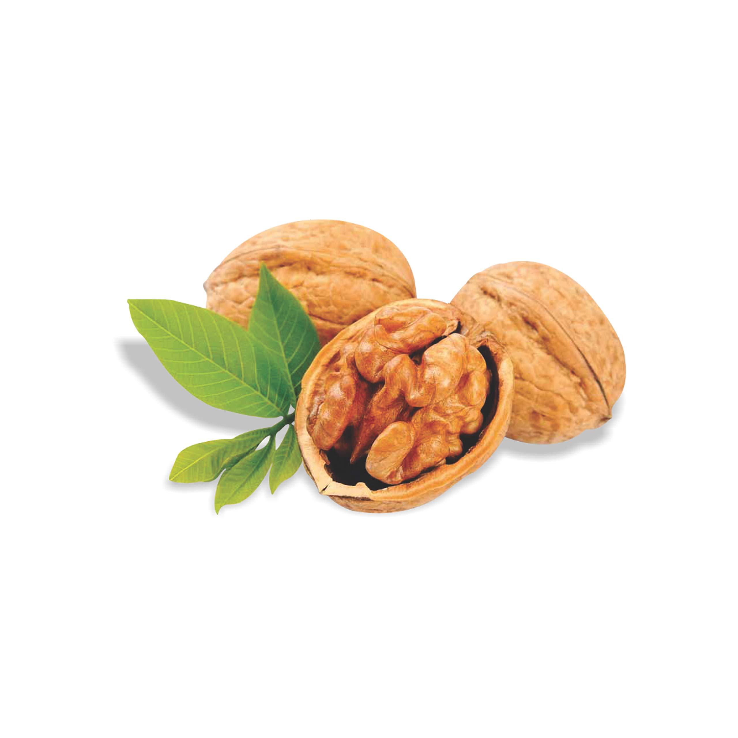 Tulsi Tulsi California Walnut Inshell Select 1 Kg | Large Size | Inshell Walnuts Akhrot | Delicious & Crunchy Walnuts | High in Protein & Iron | Premium Akhrot | Rich in Omega-3