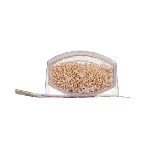 The Doctor\'s 1100 (4 x 275) : Doctor\'s Brushpicks Treatment, 1100 Count