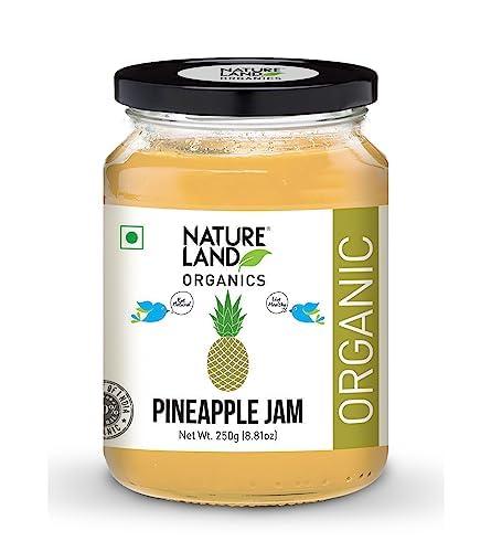 NATURELAND ORGANICS Natureland Organics Pineapple Jam 250gm - Healthy Organic Jams