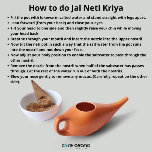 Core Asana Core Asana Ceramic Jal Neti Pot Non-Metallic and Lead Free Comfortable Grip Natural Treatment for Sinus Congestion, Yoga Neti Pot (Amber)