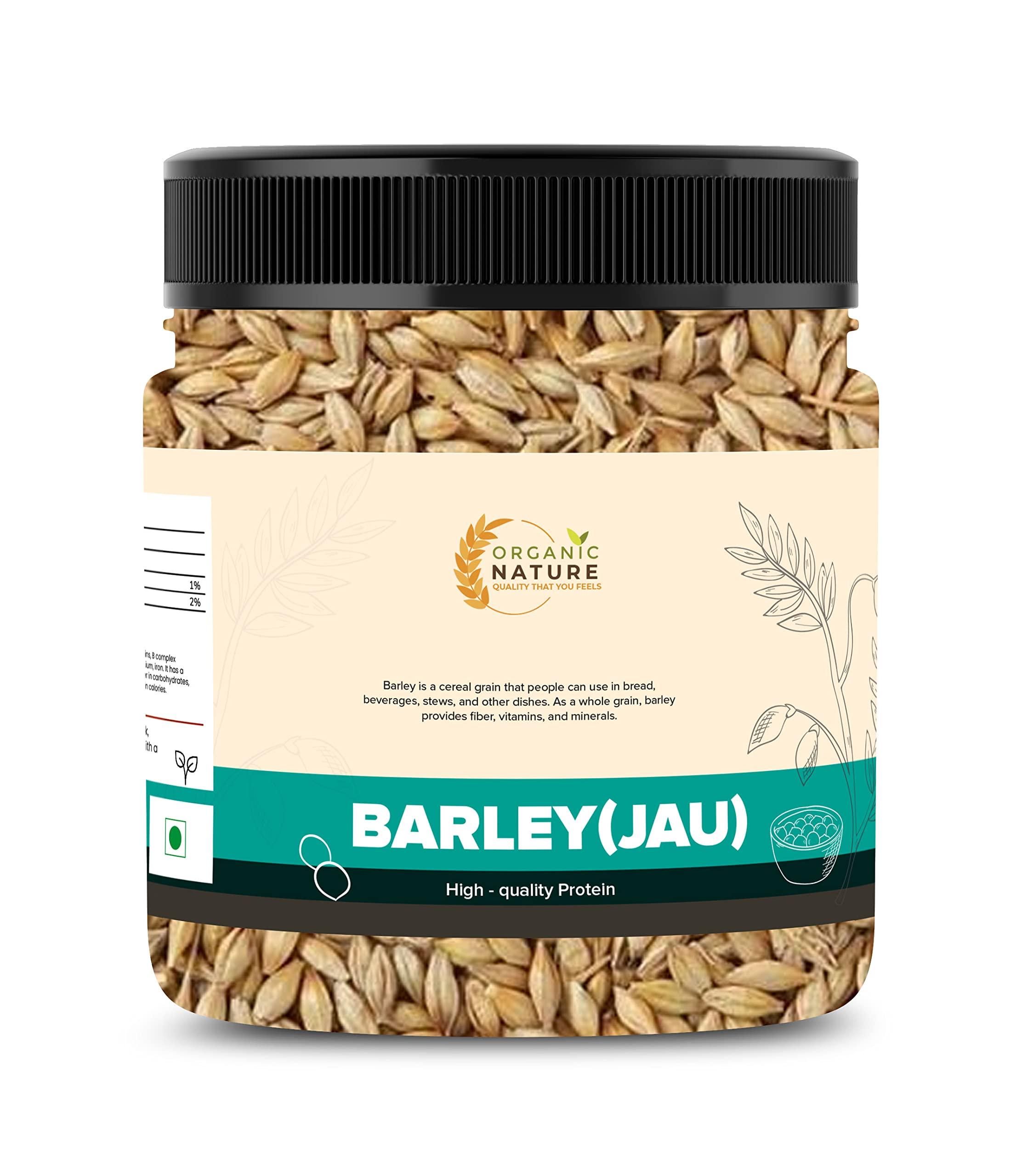 ORGANIC NATURE Organic Nature Raw Barley Seeds (Jau) 400 Grams Barley Grain