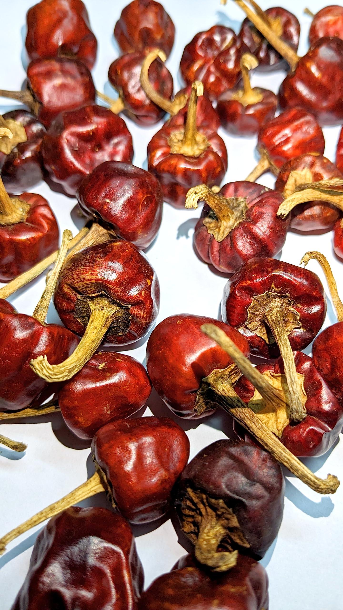 Generic Chilli Chronicles - Ramnad Gundu Chilli - GOL Mirchi - Mundu Chilli - 500g