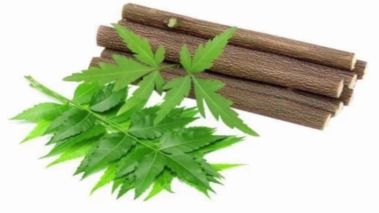 Generic Sonu Organic Fresh Neem Chew Sticks (Datoon) for Healthy Teeth and Gums - 20 Sticks