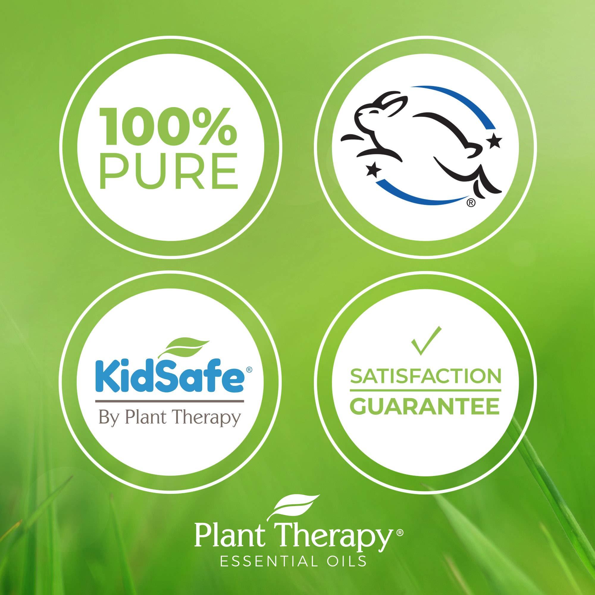 Plant Therapy Plant Therapy KidSafe Better Than Kisses Synergy Pre-Diluted Roll-On 10mL (1/3 oz) 100% Pure, Therapeutic Grade