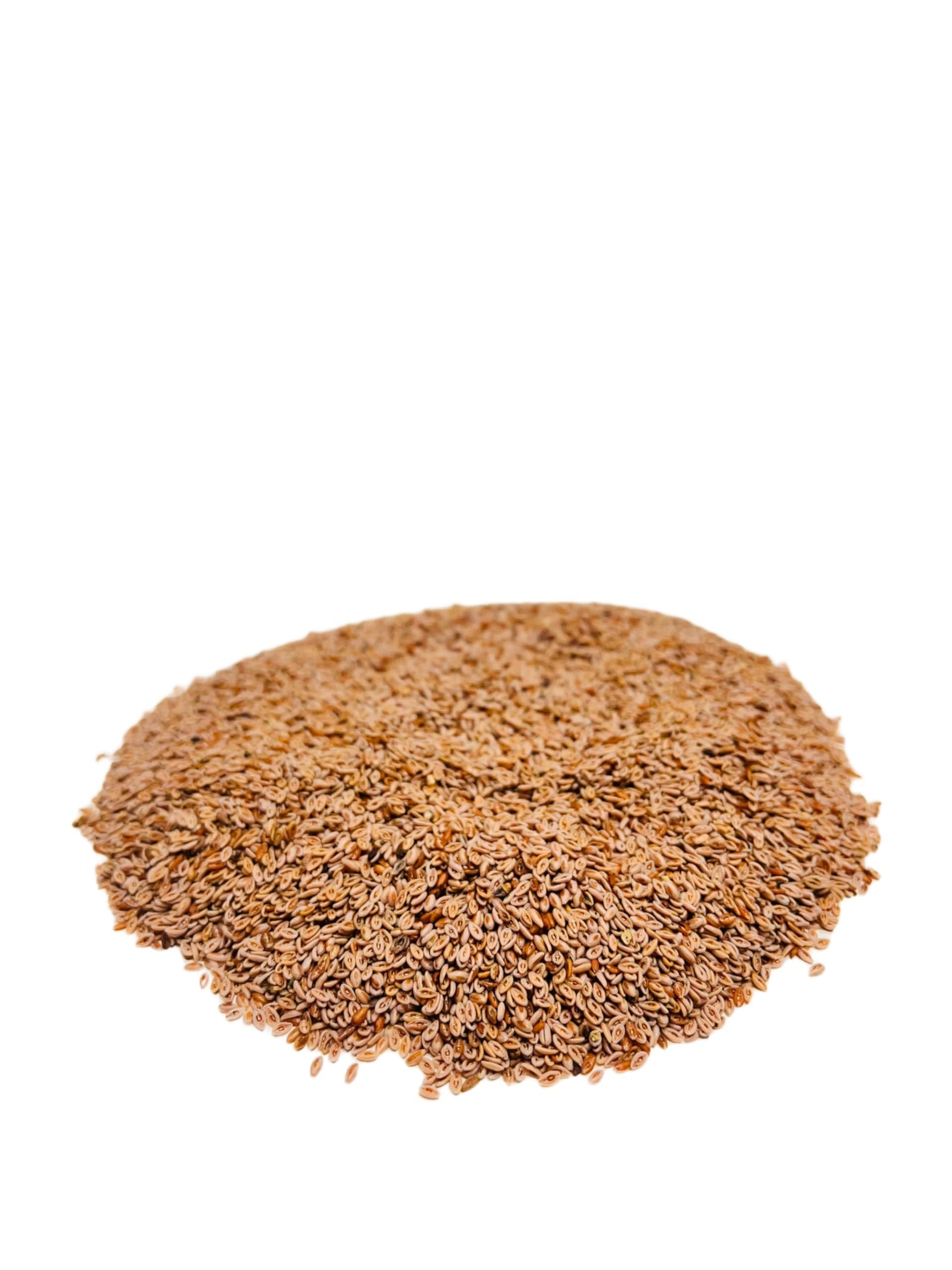 Ayushiv Ayushiv ISABGOL SEEDS (Plantago ovata) -Psyllium husk- Isabgol aka (250 GM)