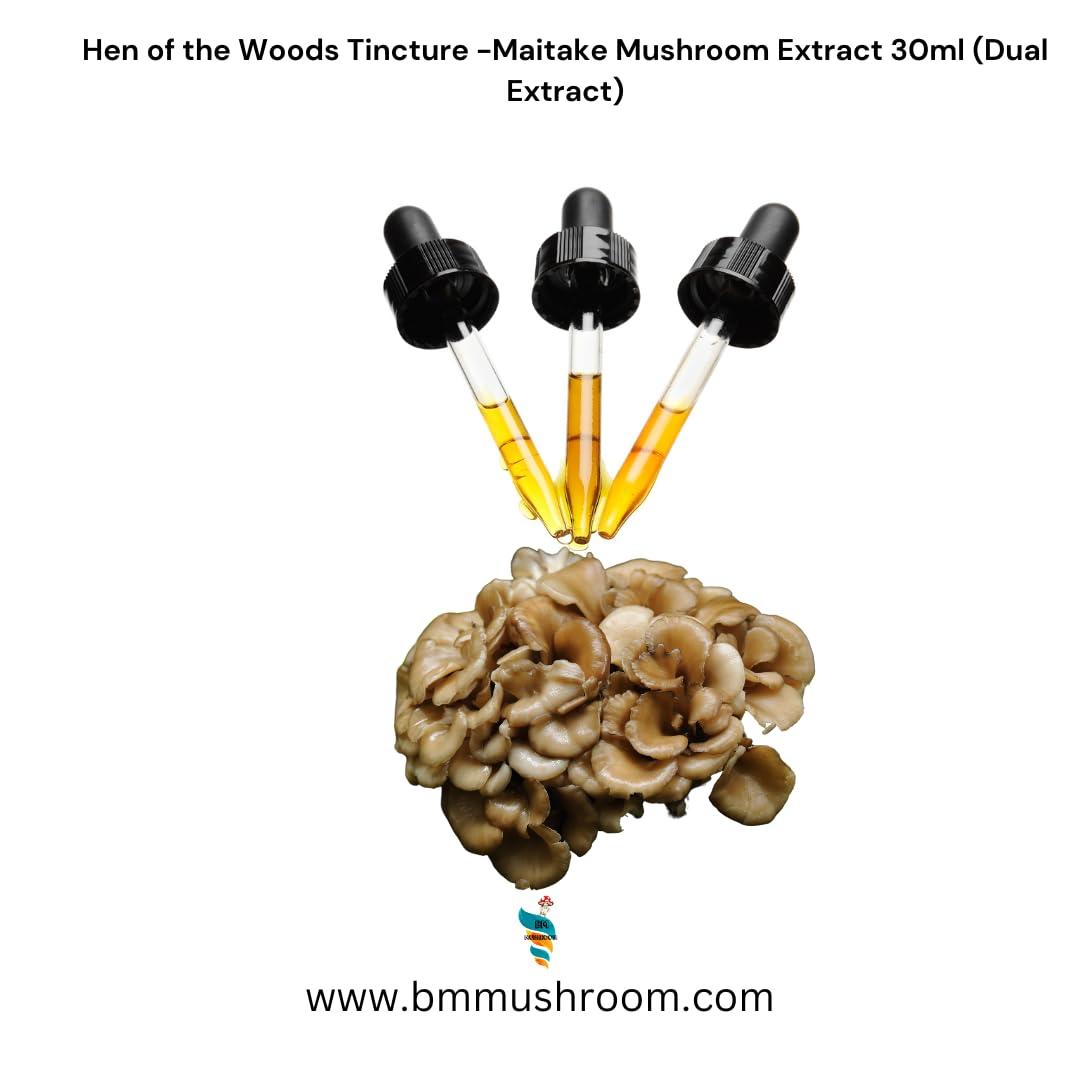 BM ENTEPRRISE Hen of the Woods Tincture -Maitake Mushroom Extract 30ml (Dual Extract)