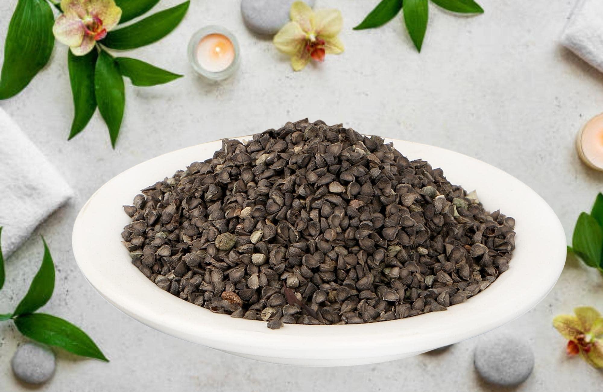 India's Creation Jodhpur Khareti Seeds-Abutilon Indicum-Raw Herbs- Kharaiti Beej - Balaa Beej - Atibala - Jadi Booti - Single Herbs (400 Gram)