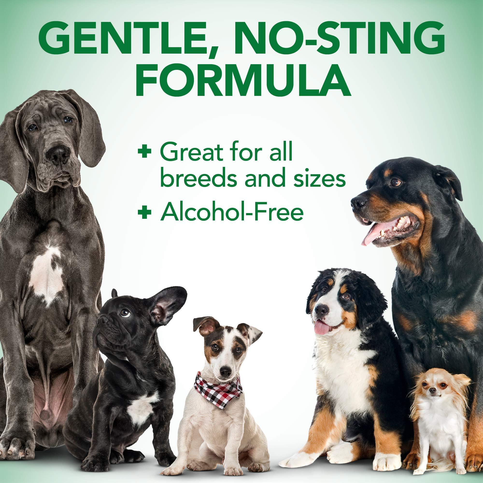 Vet\'s Best Vet\'s Best Ear Relief Wash Cleaner for Dogs, 4 oz