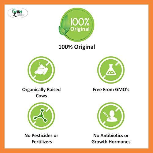 WN WORLD NUTRITION WN WORLD NUTRITION Explode Pro Weight Gainer Protein Powder Healthy Body Gains | Reduces Muscle Breakdown | Boosts Metabolism(Chocolate, 1 Kg)