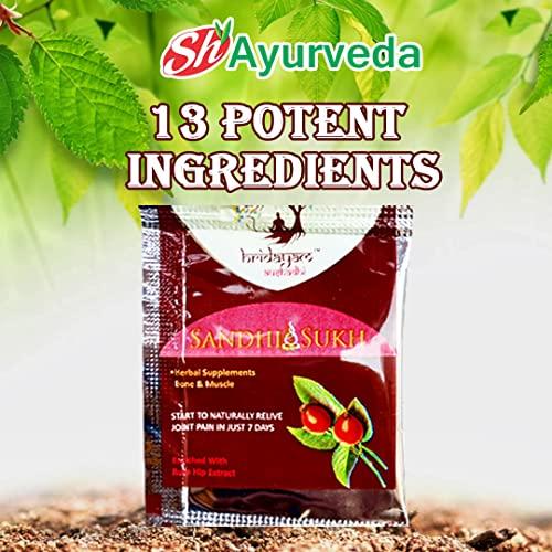 SWAMI HERBAL AYURVEDA Sandhi Sukh Powder by Hridayam Ayurveda | Original by Ayurveda | 4gm Pouch Packing | for Joint Pain and Arthritis (Pack of 70)