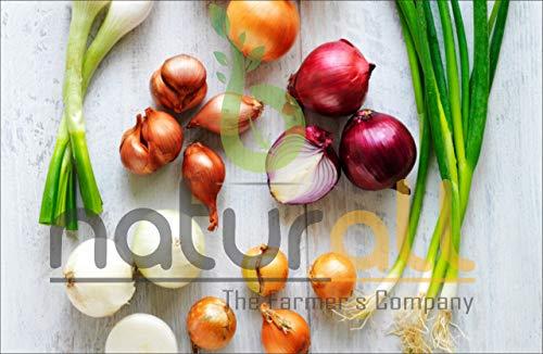 B Naturall B Naturall Pack of 2 - Red Onion Powder 500 GM & Garlic Powder 500 GM Combo Pack