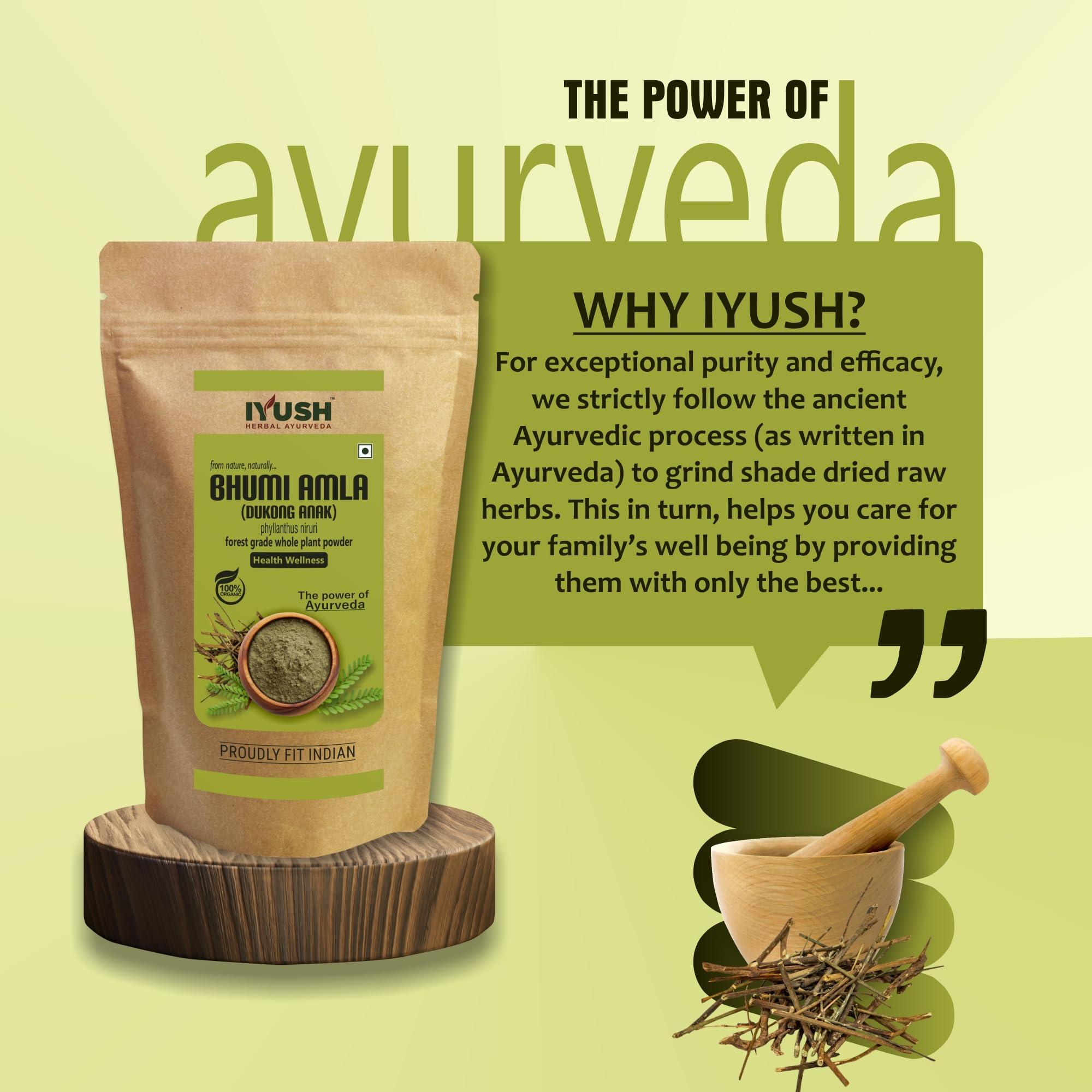 IYUSH Bhumi Amla Powder Organic, 900gm