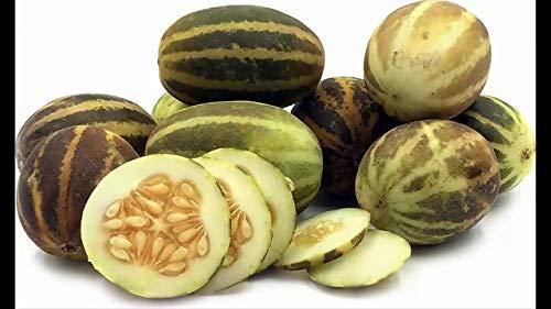 R CHAMPALAL AND SONS OSIAN RCS KACHRI, Dry Cucumber, KOKLA, KHATAI, CHIBRA SUKHA, Dry KACHARI (900)