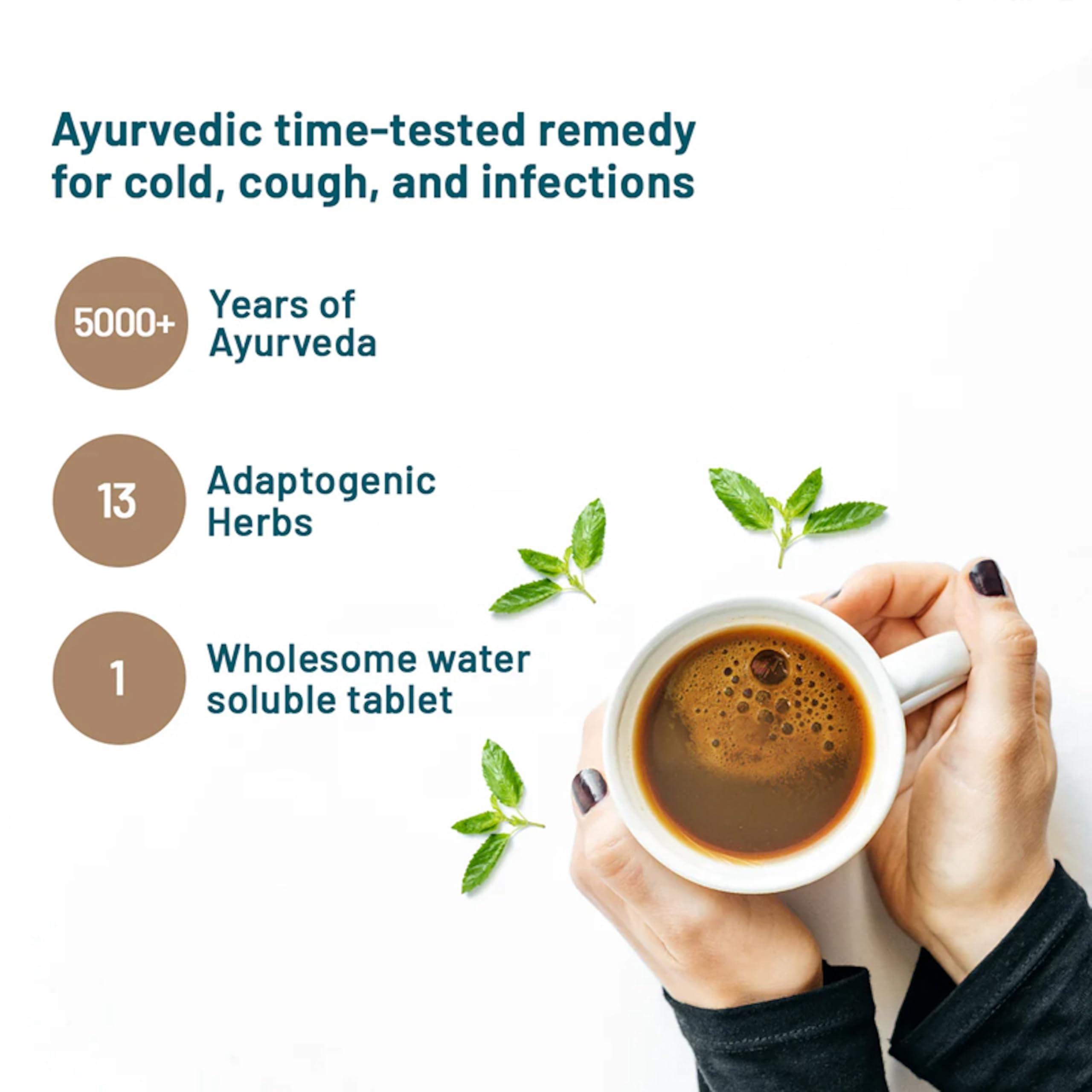 WELLBEING NUTRITION Wellbeing Nutrition Grandma's Kadha -Ayurvedic Natural Immunity Booster | Ayurvedic Kadha for Immunity, Cold, Cough, Sore Throat & Congestion (60 Effervescent Tablets)