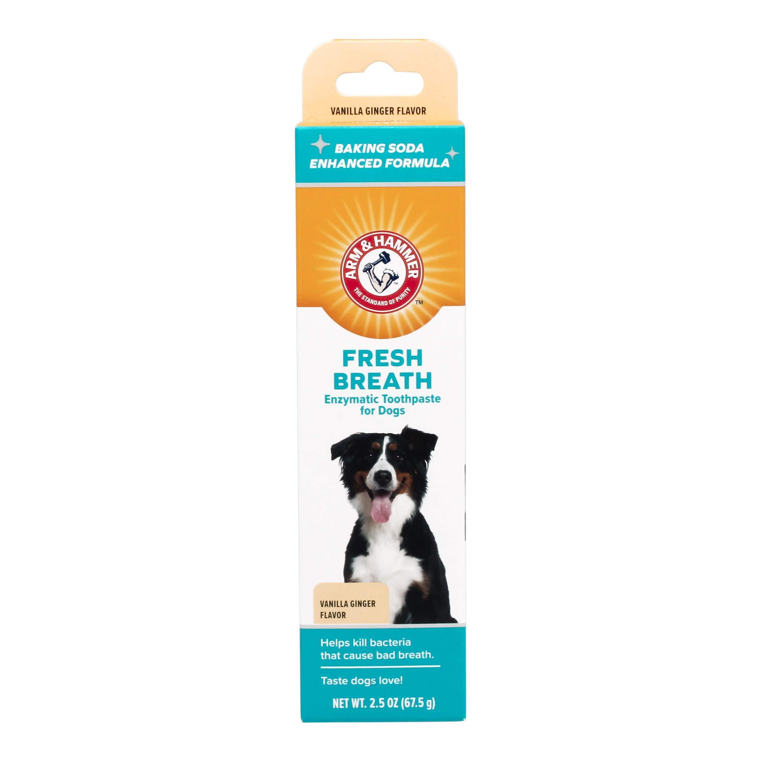 Arm & Hammer Arm & Hammer Clinical Care Enzymatic Toothpaste Gel - Vanilla Ginger