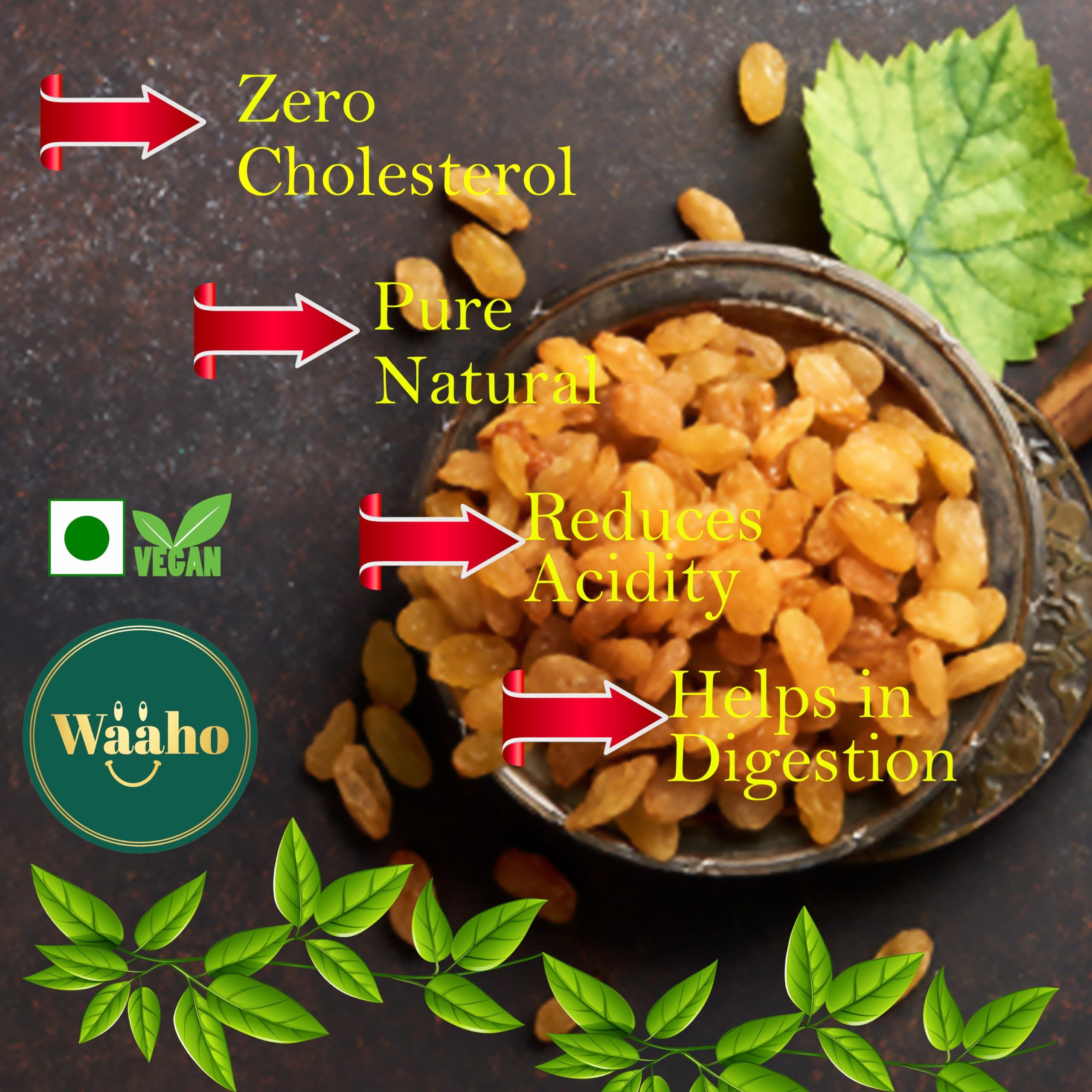 WAAHO WAAHO Premium Nut & Fruit Blend: Cashews, Almonds, and Raisins (450)