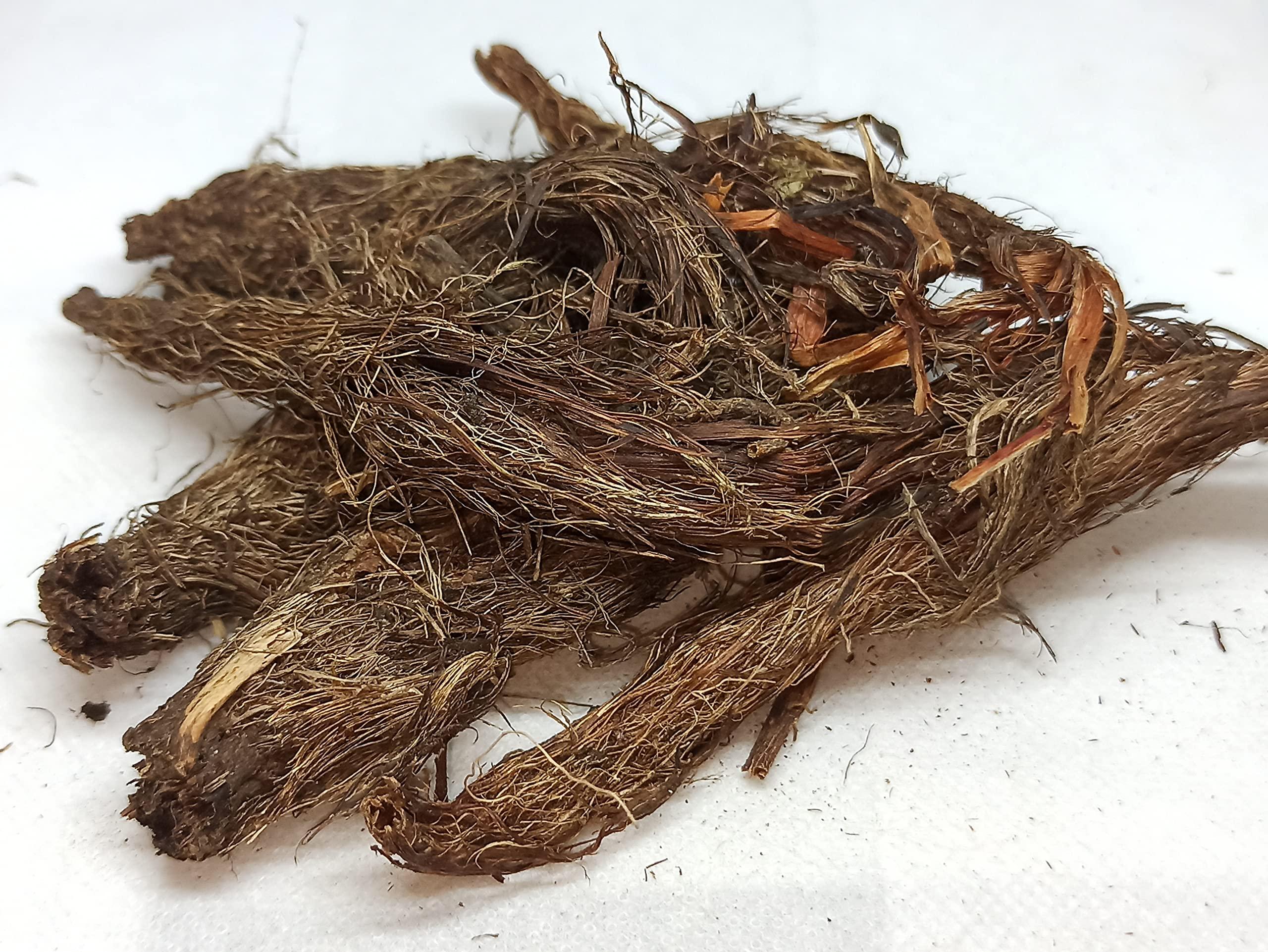 NATURALIFE NATURALIFE\'S-*JADAMANJI*-Jatamansi I Tapaswani and Bhytajata I Indian spikenard, Musk-root, and Indian nard I Nard Indian I Balchara I Jatamavshi I Jatamamsi I Bhutijata I Billilotan (100 GRAMS)