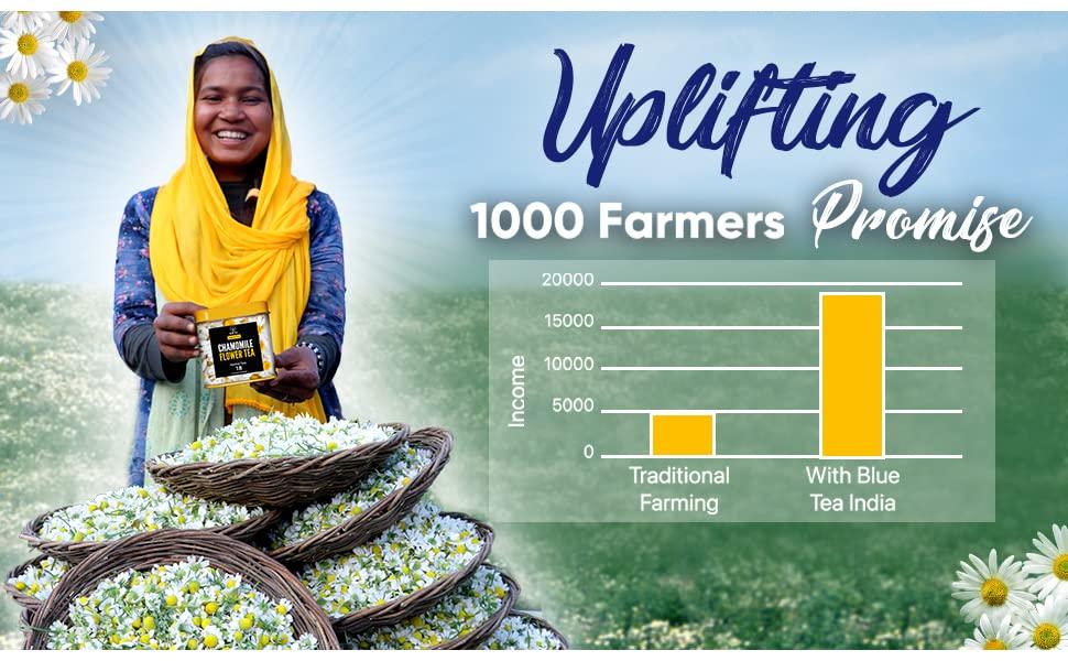 BLUE TEA BLUE TEA - Marigold Tea - 50 Gram (Pack of 2) | Pure Marigold Flower Petals || FLOWER TEA || Ketogenic Diets, No Caffeine or Harsh Additives | Eco-Conscious Pet Jar Pack |