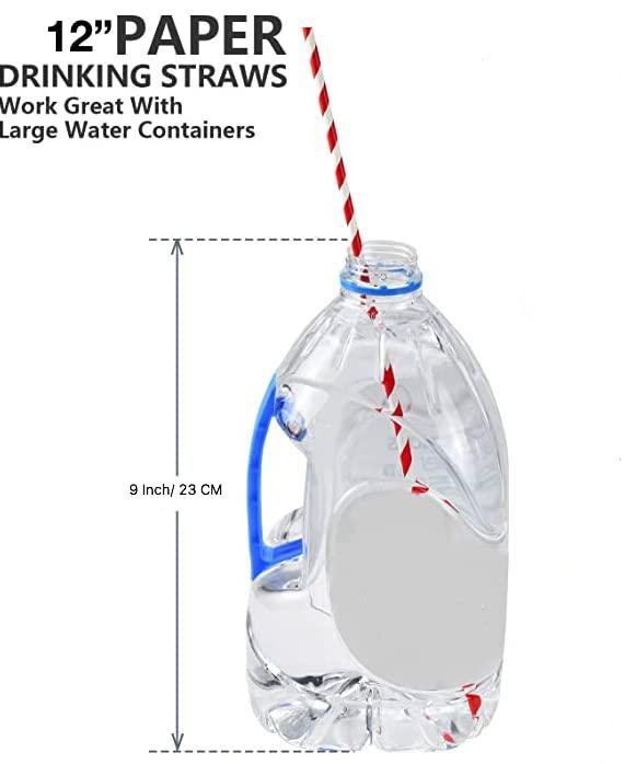 VARADAA Varadaa 12 Inch Extra Long Paper Straws 6mm Wide, for Big Cups Tumblers, Tall Drinks, Smoothies, Shakes - (A Pack of 500)