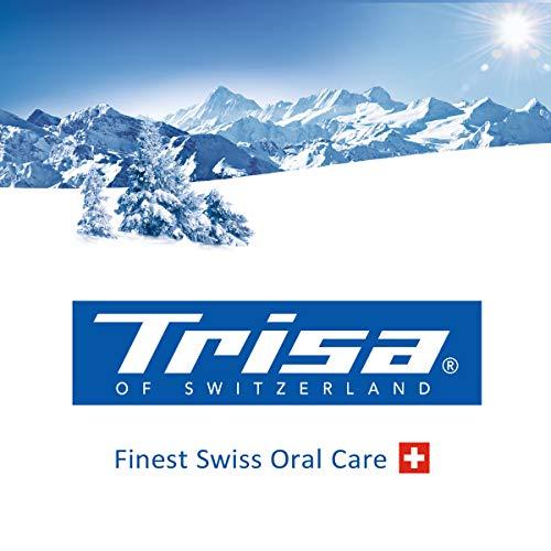 TRISA Trisa Hygiene Box for toothbrush Head (3Pcs)