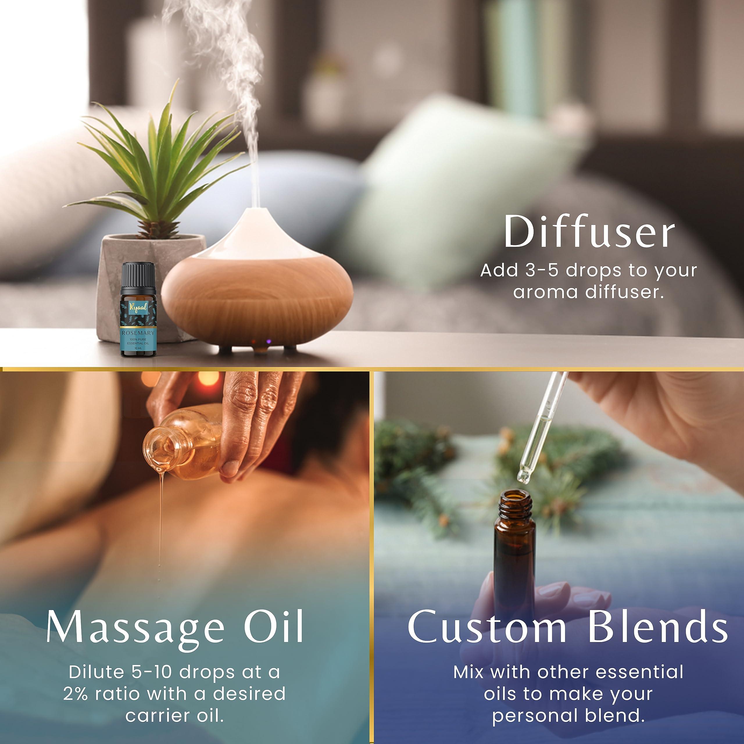 Ryaal Ryaal Essential Oils Rosemary, Tea Tree, Lavender, Lemon, Rose, and Jasmine | Hair and Skin Nourishing, Body Relaxing | Diffuser, Aromatherapy | 6 in 1 Combo Pack Pure and Natural Oils 10 ml each