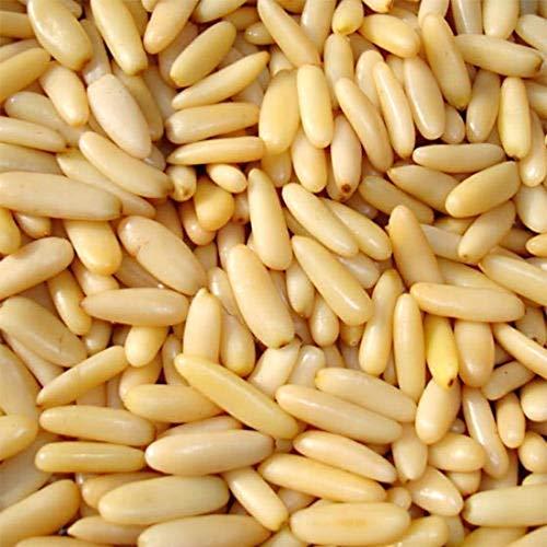 Prizex Prizex Pine Nuts | Lebanon Pine Nuts | Chilgoza 50gm