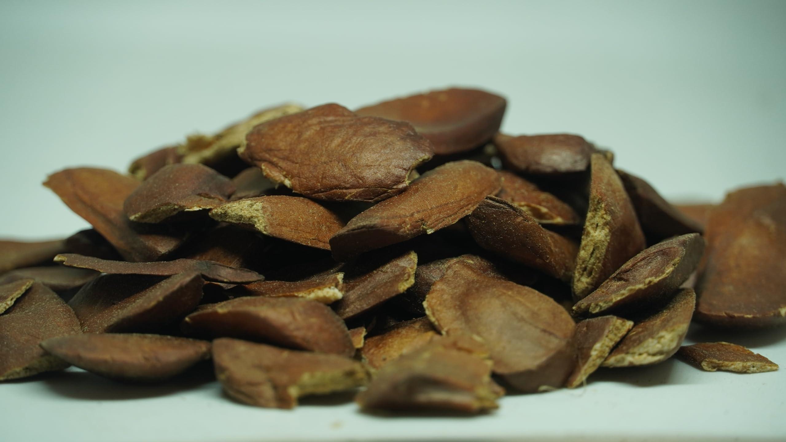 THOGAI THOGAIS -THEN KAI- Sky fruit/Thaen Kai/Swietenia Macrophylla/Thenkani Vidhai/Kadwa Badan/Mahogany/ (250 GRAMS (PACK OF 1))
