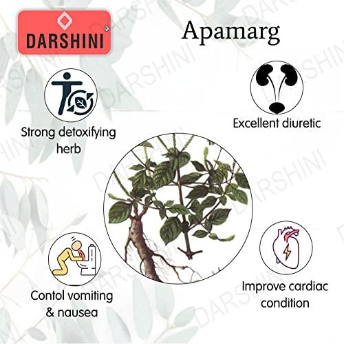 DARSHINI Darshini Apamarga/Chirchira/Latjira/Aghada Powder, Pack of 2, 200gx2=400g