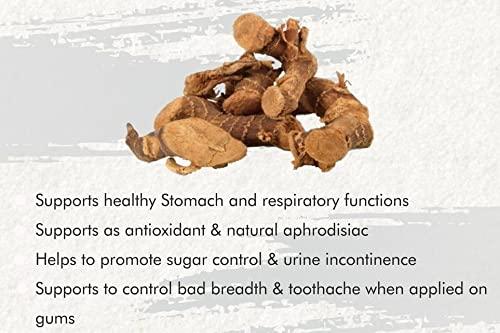 3V PRODUCTS 3V PRODUCTS Organic Chitharathai Root 50g | Kulanjan | Alpinia Galanga | Sitharathai for Cold Cough | Nasal problem | Improves Digestion | Health Benefits