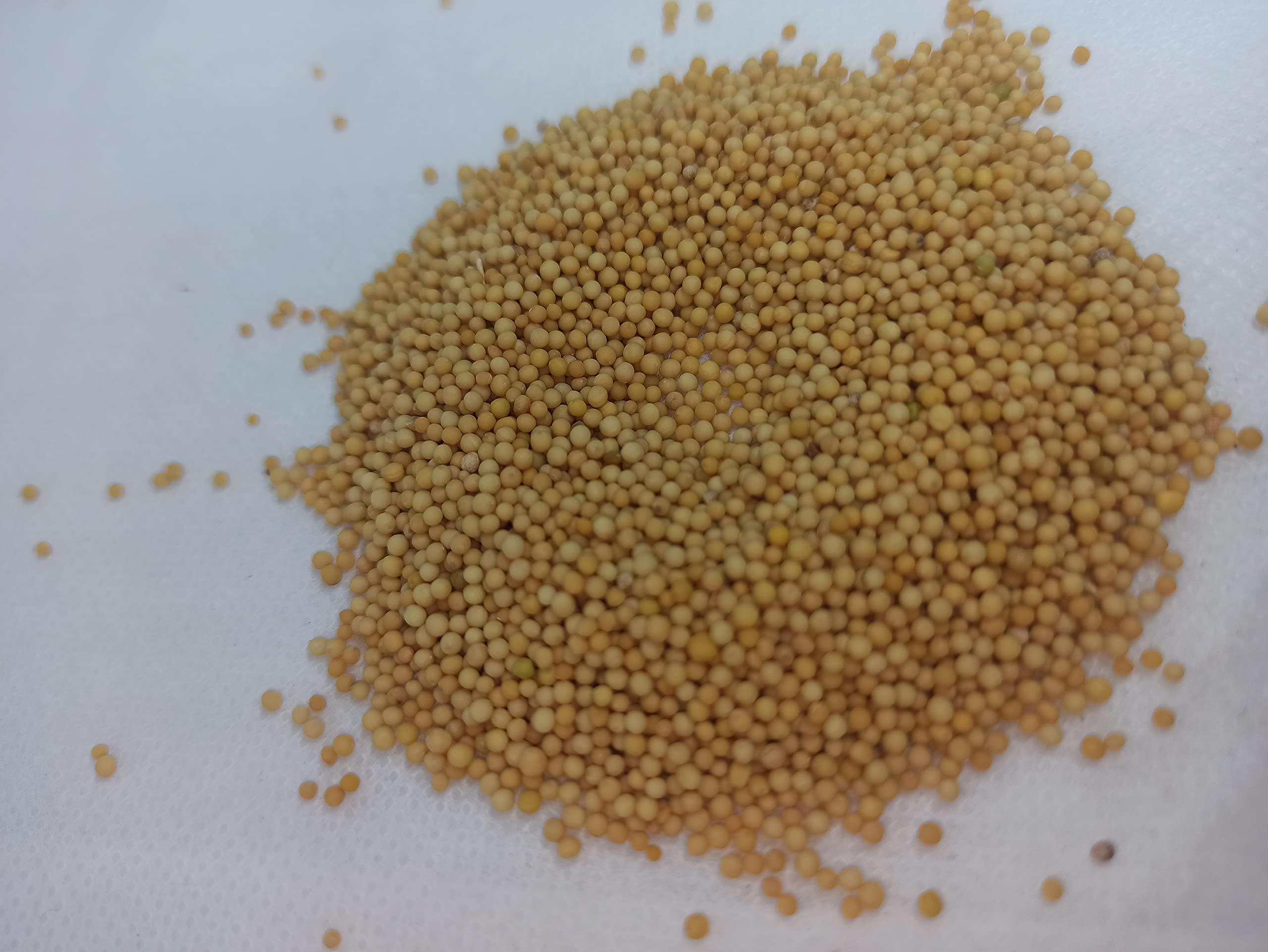 Generic NATURALIFE\'S-*VEN KADUGU*-YELLOW MUSTARD SEEDS RAW/ (250 GRAMS)